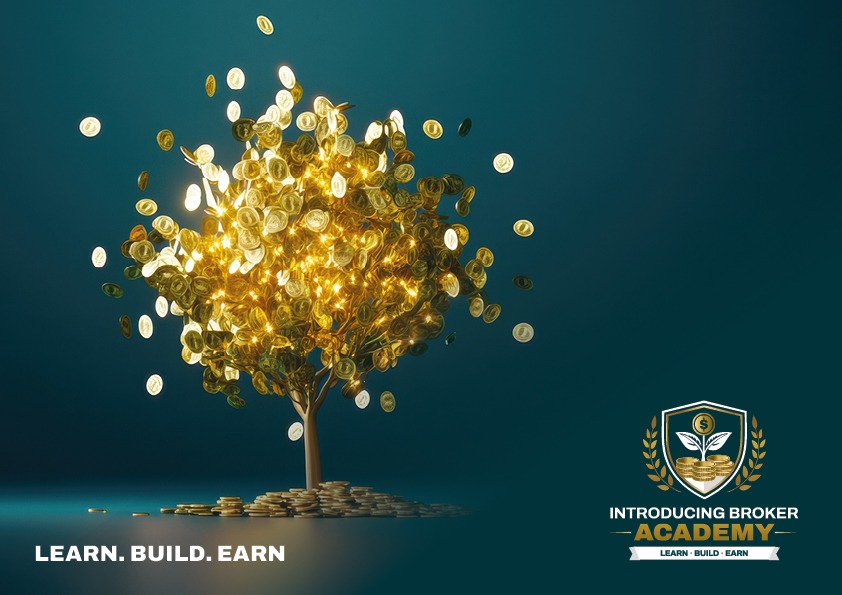 IB Academy Blog hero background